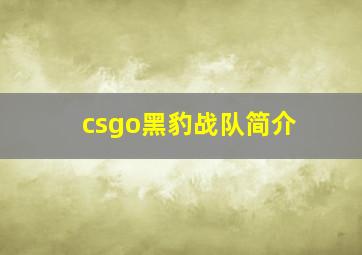 csgo黑豹战队简介