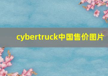 cybertruck中国售价图片