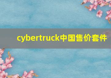 cybertruck中国售价套件