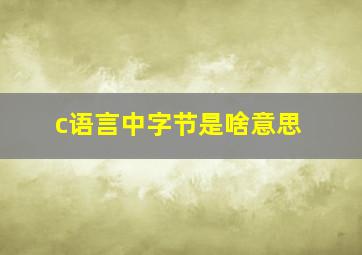 c语言中字节是啥意思