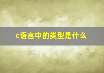 c语言中的类型是什么