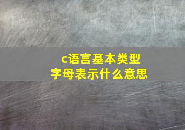 c语言基本类型字母表示什么意思