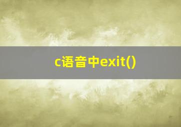 c语音中exit()