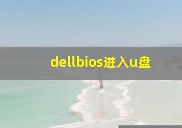 dellbios进入u盘