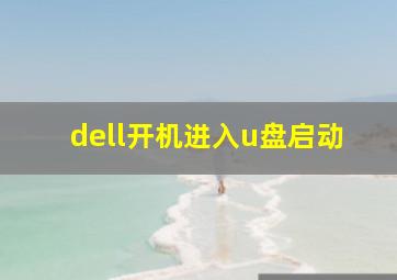 dell开机进入u盘启动