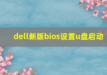 dell新版bios设置u盘启动