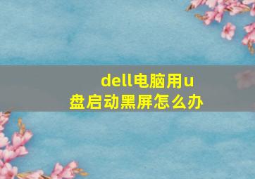 dell电脑用u盘启动黑屏怎么办