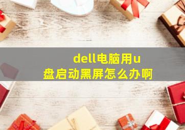 dell电脑用u盘启动黑屏怎么办啊