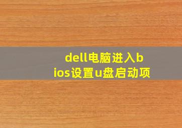 dell电脑进入bios设置u盘启动项