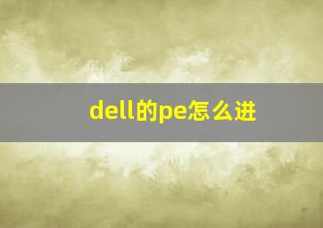 dell的pe怎么进