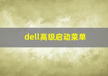 dell高级启动菜单