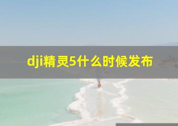 dji精灵5什么时候发布