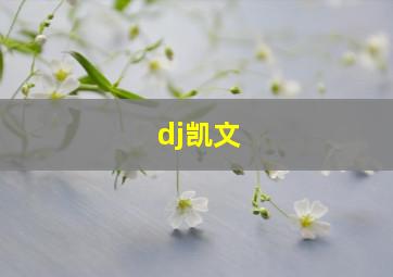 dj凯文