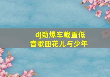 dj劲爆车载重低音歌曲花儿与少年