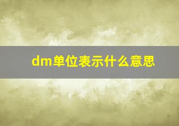 dm单位表示什么意思