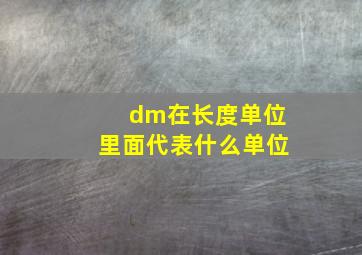 dm在长度单位里面代表什么单位