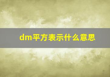 dm平方表示什么意思