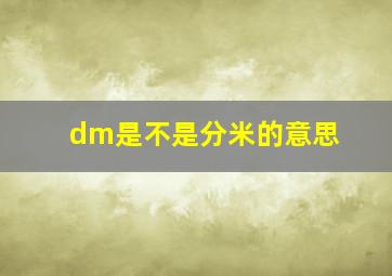 dm是不是分米的意思