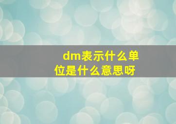 dm表示什么单位是什么意思呀