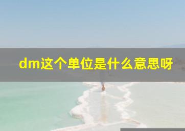 dm这个单位是什么意思呀