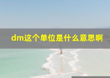 dm这个单位是什么意思啊