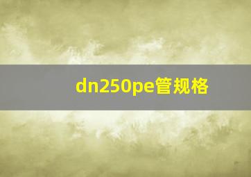 dn250pe管规格