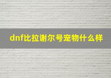 dnf比拉谢尔号宠物什么样