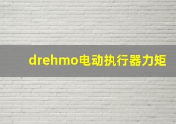 drehmo电动执行器力矩