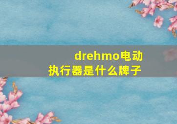 drehmo电动执行器是什么牌子