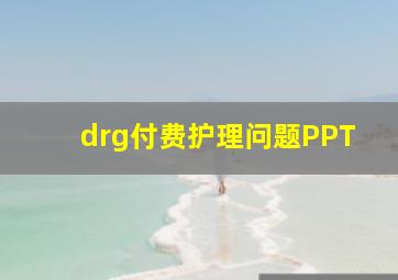 drg付费护理问题PPT