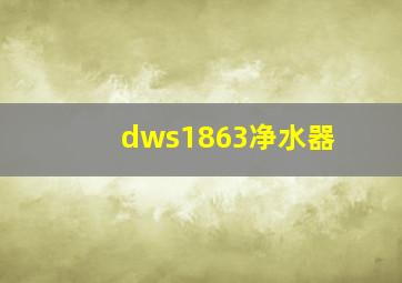 dws1863净水器