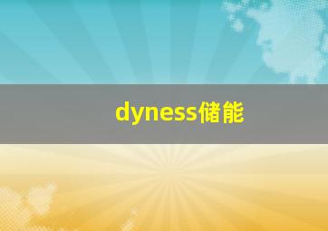 dyness储能