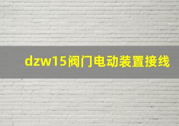 dzw15阀门电动装置接线