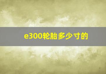 e300轮胎多少寸的