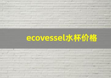 ecovessel水杯价格