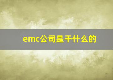 emc公司是干什么的