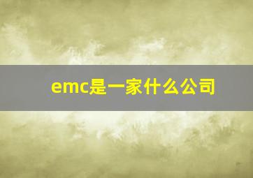 emc是一家什么公司