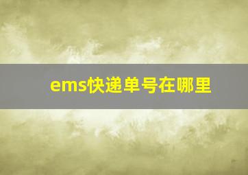 ems快递单号在哪里