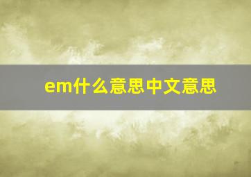 em什么意思中文意思