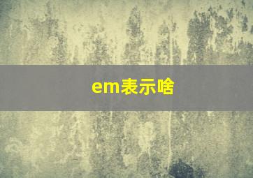 em表示啥