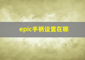 epic手柄设置在哪