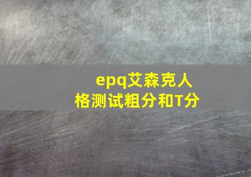 epq艾森克人格测试粗分和T分