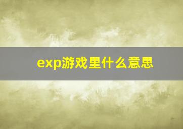 exp游戏里什么意思