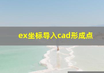 ex坐标导入cad形成点