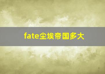 fate尘埃帝国多大