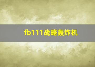 fb111战略轰炸机