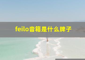 feilo音箱是什么牌子