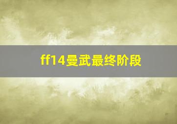 ff14曼武最终阶段