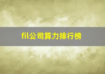 fil公司算力排行榜