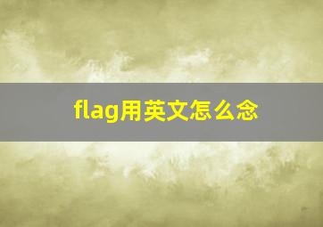 flag用英文怎么念